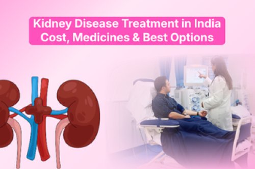 Kidney Disease Treatment in India: Cost, Medicines & Best Options