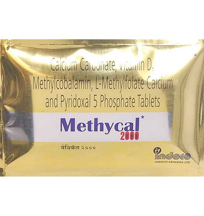 METHYCAL 2000