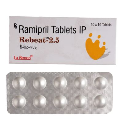 REBEAT-2.5                    10