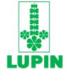Lupin